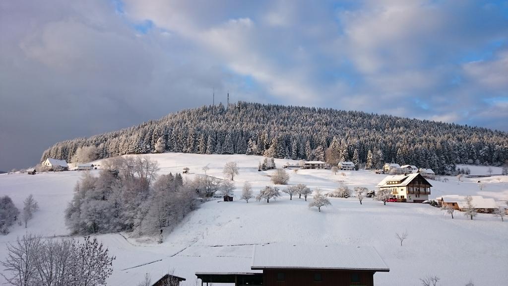Waldblick Tonbach Apartment Baiersbronn Luaran gambar