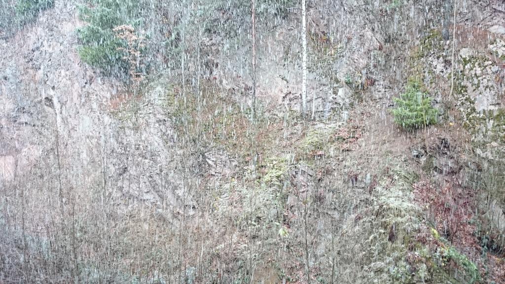 Waldblick Tonbach Apartment Baiersbronn Bilik gambar